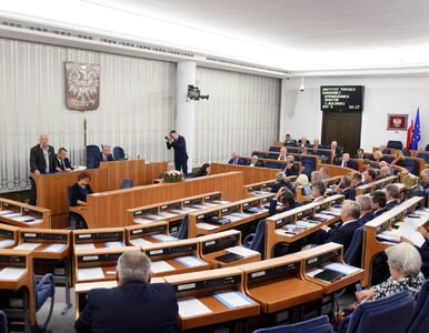 Miniatura: Sejm i Senat tylko dla osób z polskim...