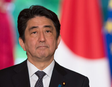Miniatura: W Japonii aż 1/3 stanowisk w rządzie zajmą...
