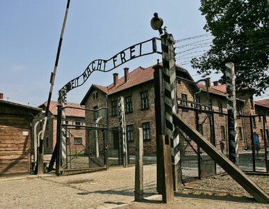 Miniatura: Szydło nie chce Rzeplińskiego w Auschwitz....