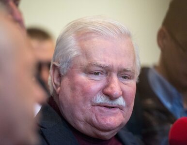 Miniatura: Lech Wałęsa komentuje start syna w...