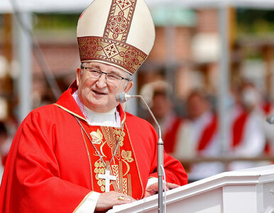 Miniatura: Biskup wciąż formalnie członkiem komisji...