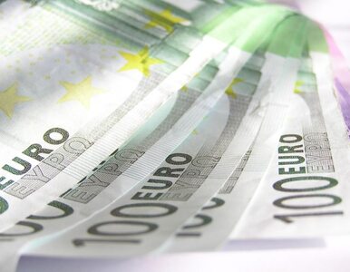 Miniatura: "Centralny budżet eurolandu wyniósłby 20...