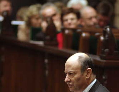 Miniatura: Sejm uchwalił budżet na 2008 rok