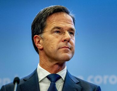 Miniatura: Rząd Holandii rezygnuje. To efekt afery...
