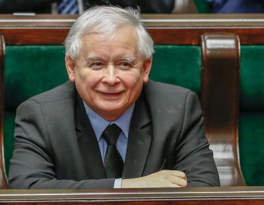 Miniatura: "Kaczyński to sympatyczny, dowcipny i...