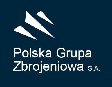 Miniatura: Polska Grupa Zbrojeniowa będzie...