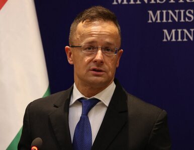 Miniatura: Oburzenie po słowach szefa MSZ Węgier....