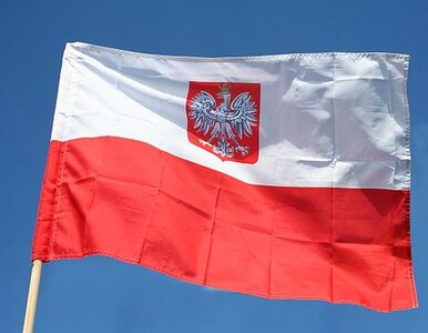 Miniatura: "W Polsce budzi się do życia radykalizm...