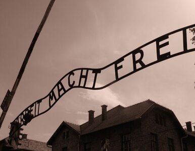 Miniatura: Niemcy ścigają SS-mana z Auschwitz. Ma 87 lat