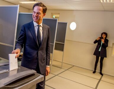 Miniatura: Holandia: Rządząca partia wygrywa wybory....