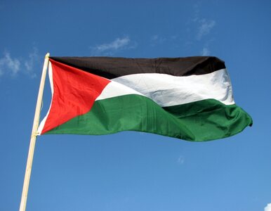 Miniatura: Palestyna oficjalnie jest już państwem