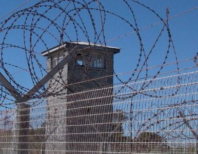 Miniatura: Władze USA torturowały więźniów częściej...