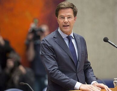 Miniatura: Holandia: premier prosi opozycję o pomoc w...