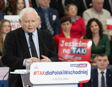 Miniatura: Polacy zrecenzowali „występ” Kaczyńskiego....