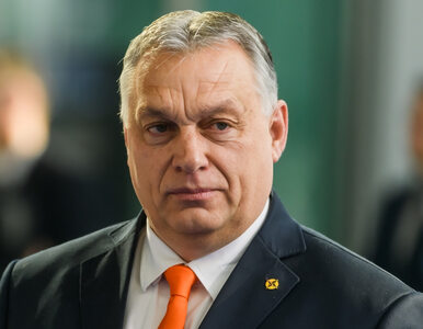 Miniatura: Viktor Orban chce utrzymać swoje...
