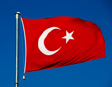 Miniatura: Sprawcy zamachu w Stambule pochodzili z...