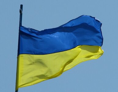 Miniatura: Ukraina: opozycja chce obalić prezydenta