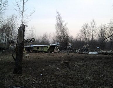 Miniatura: Lasek: wybuch w Tu-154? Dowody temu przeczą