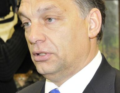 Miniatura: Węgierska opozycja: Orban chce zdemontować...