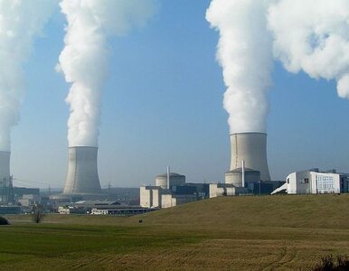 Miniatura: Francuskie elektrownie nuklearne są...