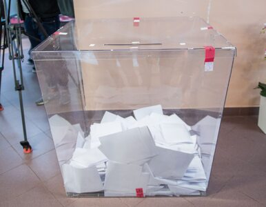 Miniatura: Wybory do PE. Kto dostał się z okręgu nr 3...