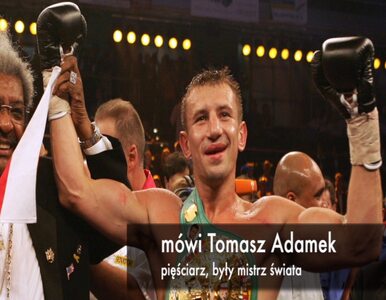 Miniatura: Adamek wejdzie na ring w Polsce?