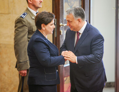Miniatura: Orban w liście zapewnia o solidarności z...