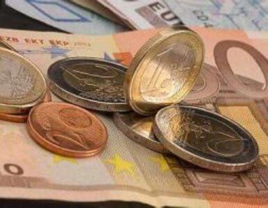 Miniatura: Nie będzie rozszerzenia strefy euro w...