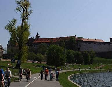 Miniatura: Obsługa turystów pod Wawelem