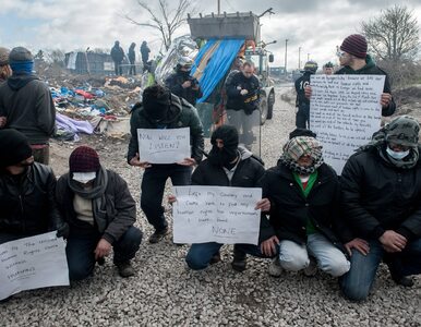 Miniatura: Antyimigracyjne protesty w Calais. 14...