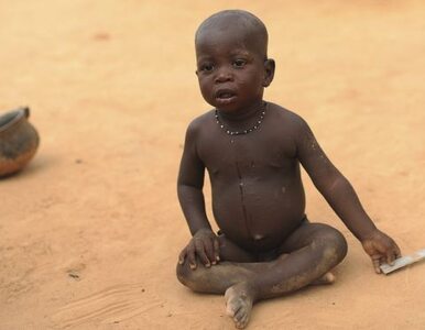 Miniatura: Plagi dotykają Mali - wojna, głód,...