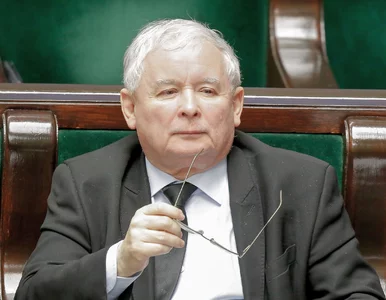 Miniatura: Kaczyński: Przepisy dotyczące wycinki...