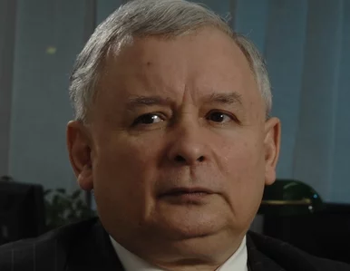 Miniatura: Kaczyński: Nałęcz i Niesiołowski do...