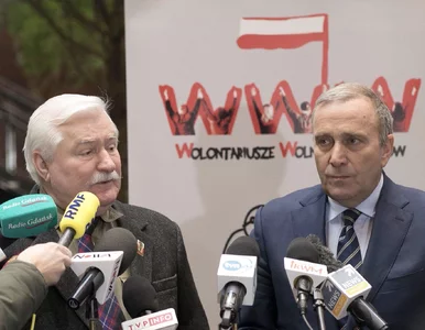 Miniatura: Wałęsa: Żądam od wszystkich sił...