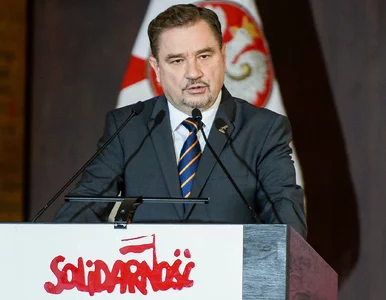 Miniatura: Solidarni z rządem