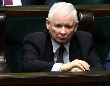 Miniatura: Jarosław Kaczyński i politycy PiS wezmą...