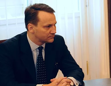 Miniatura: Sikorski: jesteśmy jednym z...