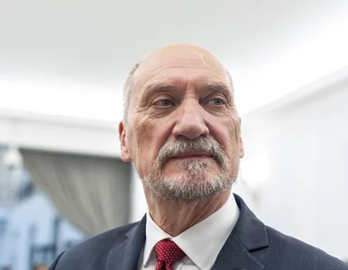 Miniatura: Macierewicz: Według wypowiedzi...