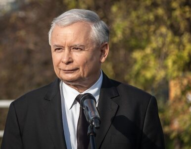 Miniatura: Kaczyński: sondaże niewiarygodne,...