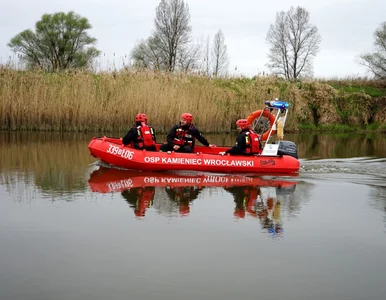 Miniatura: Złota alga zakwitła w zbiorniku przy...