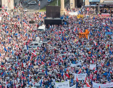 Miniatura: Prof. Chwedoruk: KOD byłby dla PiS-u...