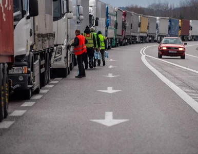 Miniatura: Protest na granicy to „gorący kartofel”?...