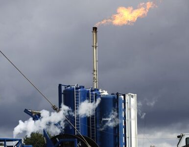 Miniatura: Gaz łupkowy receptą na kryzys w UE?