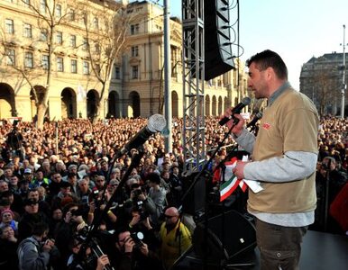 Miniatura: 6 tysięcy Węgrów chce sprawiedliwego...