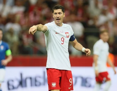 Miniatura: Robert Lewandowski powinien usiąść na...