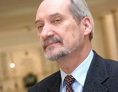 Miniatura: Macierewicz: rząd Tuska podejmuje wysiłki,...