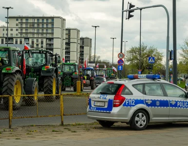 Miniatura: Rolnicy zapowiadają kolejny protest. Będą...