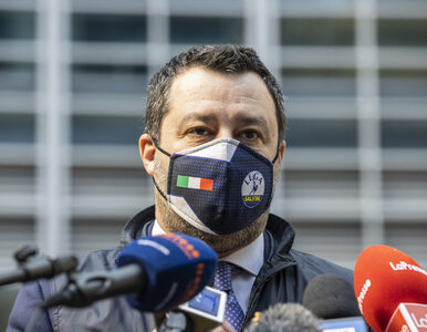 Miniatura: Salvini chce się spotkać z Orbanem i...