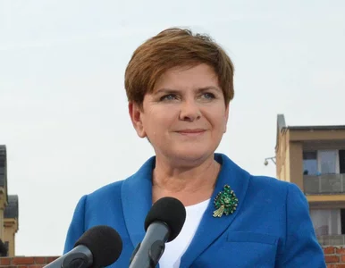 Miniatura: Szydło o gazoporcie: Oddawanie czegoś, co...