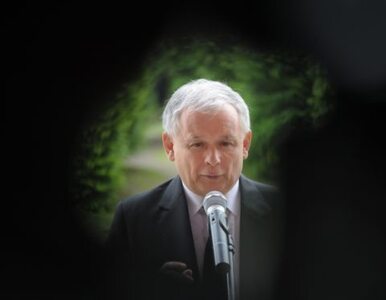 Miniatura: Kaczyński: w Polsce jest też inna elita,...